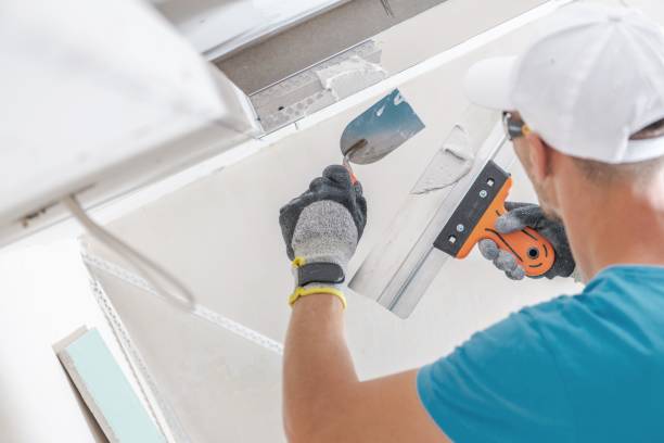 Best Drywall Removal and Disposal  in Chico, CA